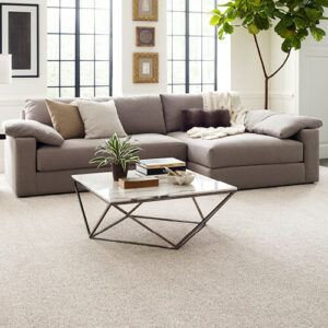Find You rComfort Accent | Off-Price Carpet Outlet