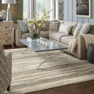 Area rug for living room | Off-Price Carpet Outlet