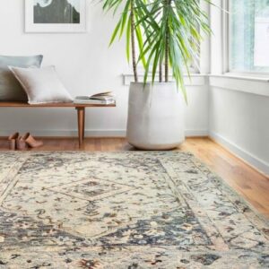 Loloi rug | Off-Price Carpet Outlet