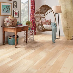 Maple Engineered Hardwood | Off-Price Carpet Outlet