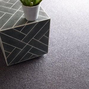 Carpet Flooring | Off-Price Carpet Outlet
