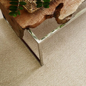 Carpet Flooring | Off-Price Carpet Outlet