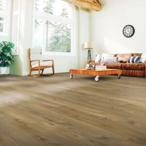 laminate house | Off-Price Carpet Outlet