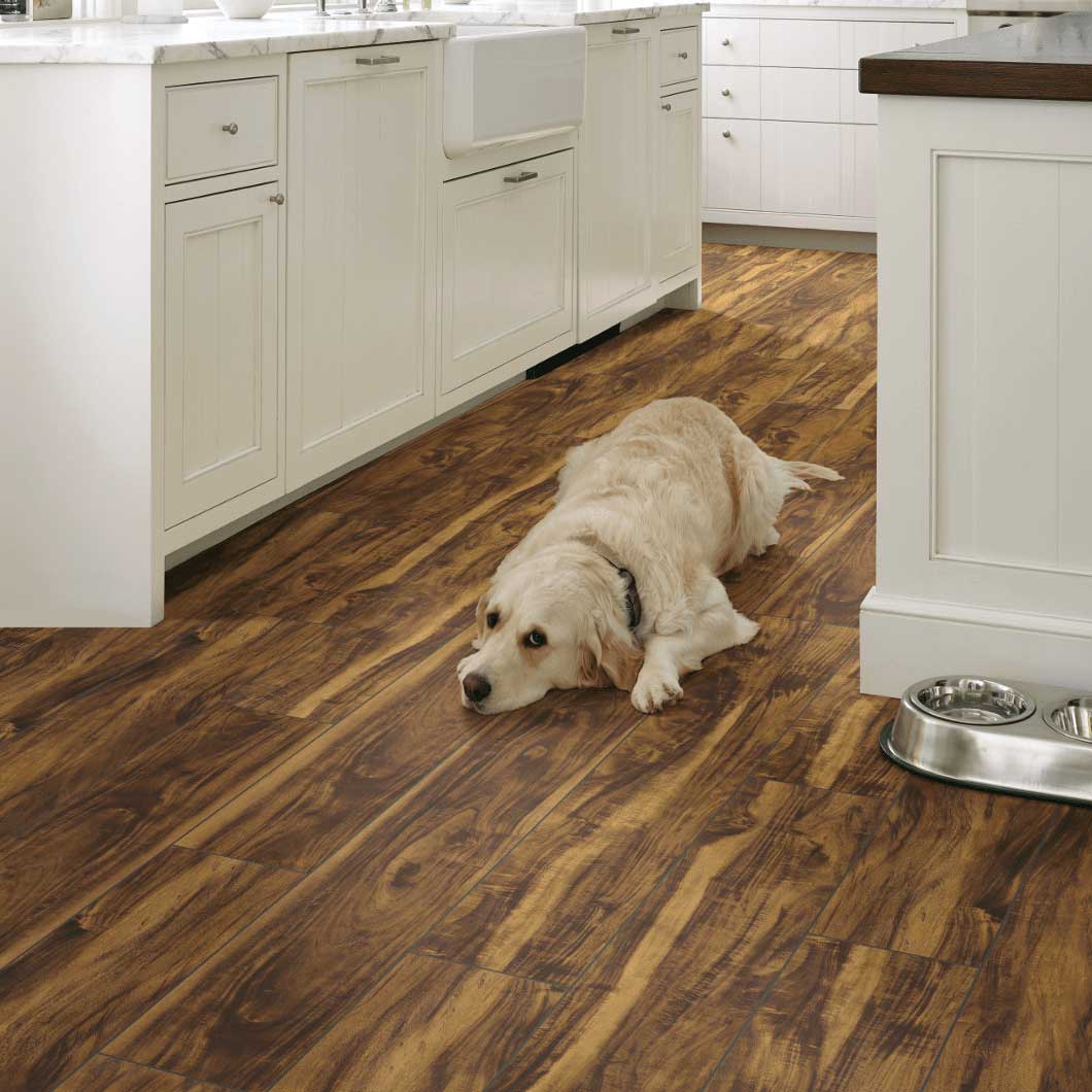 Pet friendly floor | Off-Price Carpet Outlet