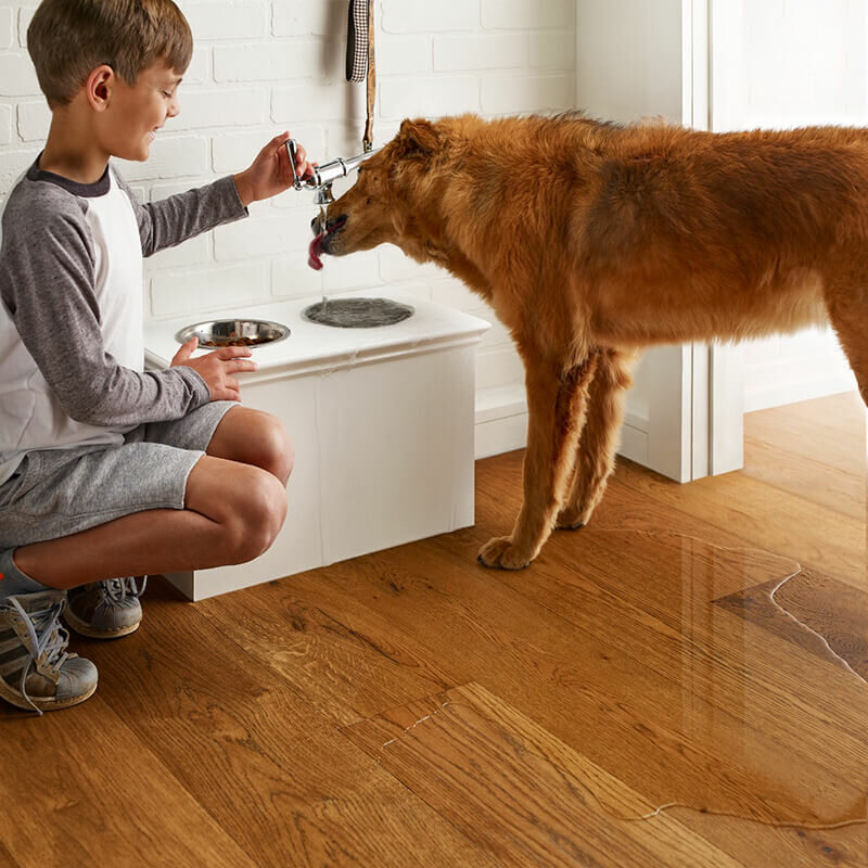 Messy Dog and Kid on Water Resistant Flooring | Off-Price Carpet Outlet