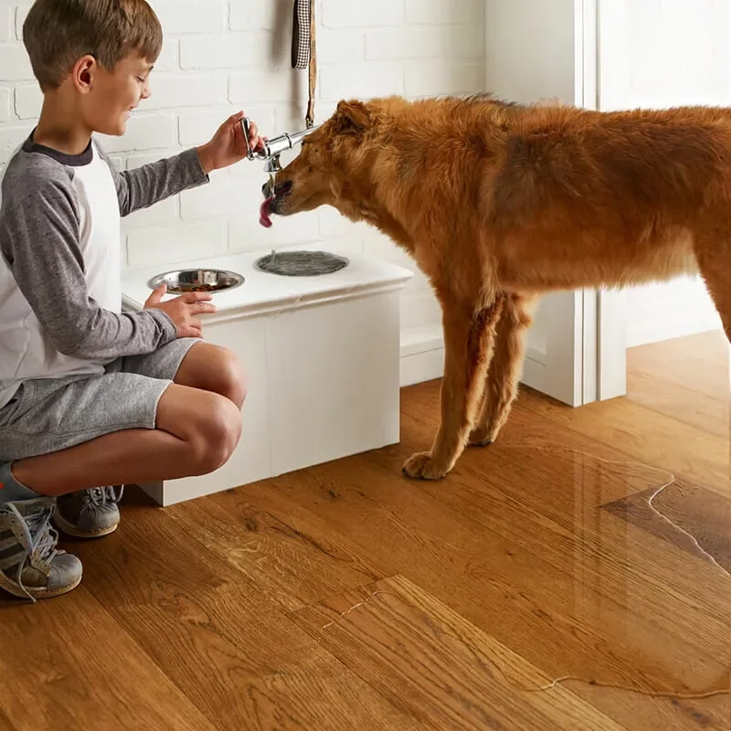 imgi_4_WaterproofFlooring-Dog-square